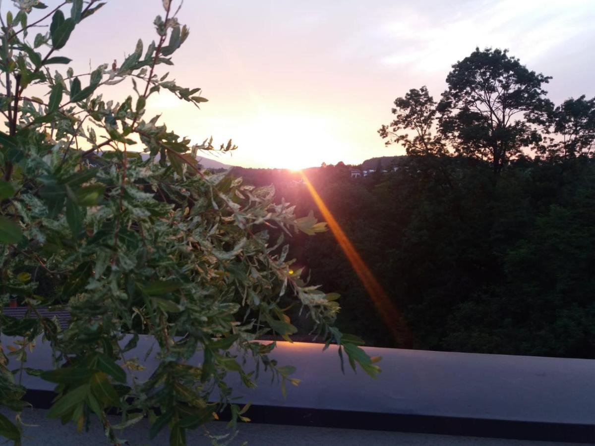 Apartman Japanski vrt, Centar Vrnjačka Banja Buitenkant foto